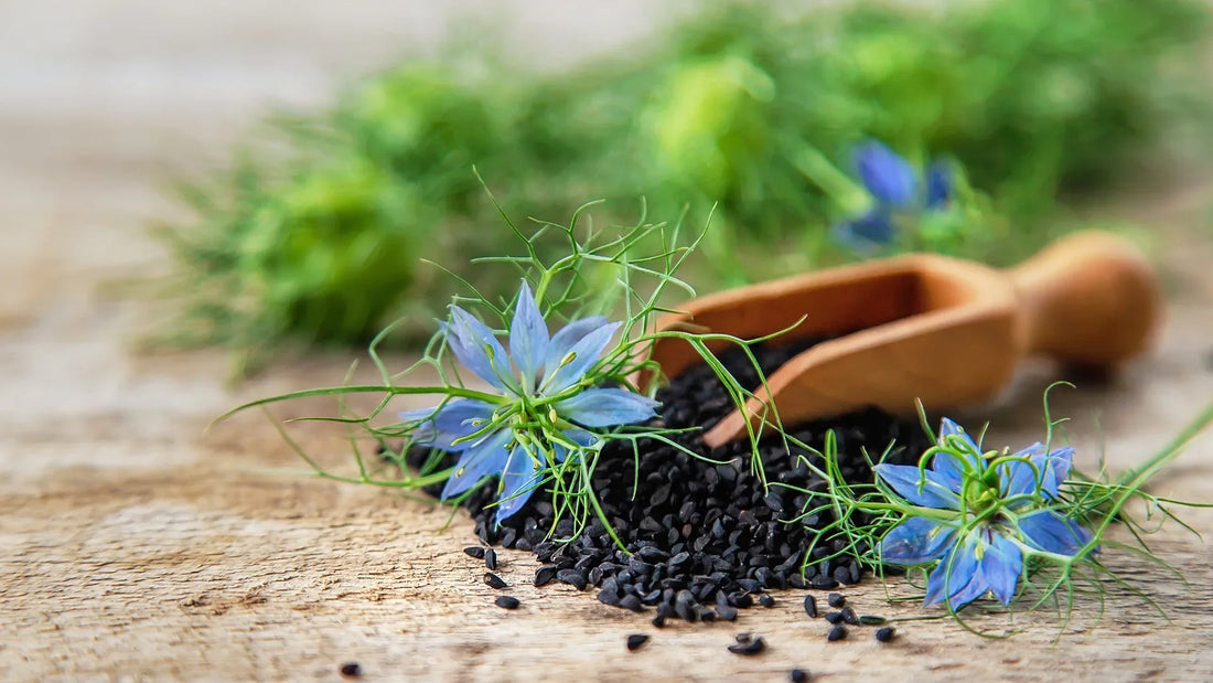 Black cumin seeds with blue Nigella sativa flowers and a wooden scoop placed on a rustic wooden surface, showcasing the natural source of thymoquinone.