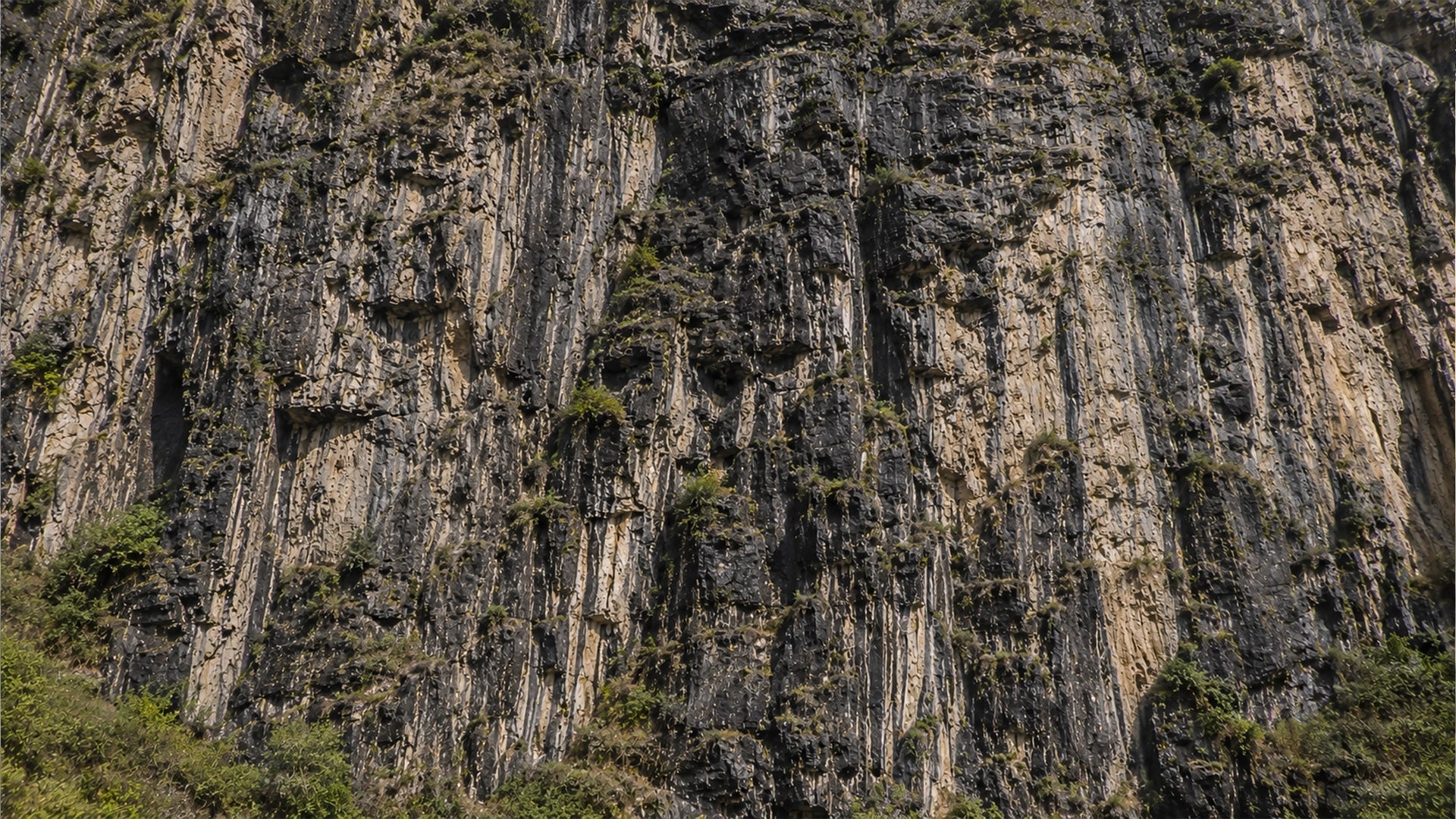 Natural raw shilajit resin emerging from rugged mountain rock formations with dark mineral-rich textures and earthy tones.
