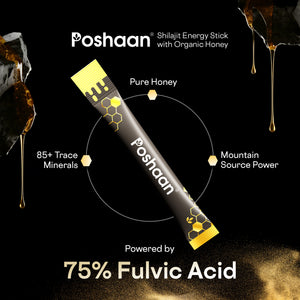 Shilajit Energy Stick