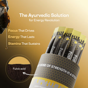 Shilajit Energy Stick