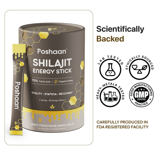 Shilajit Energy Stick